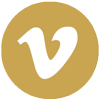 Vimeo icon