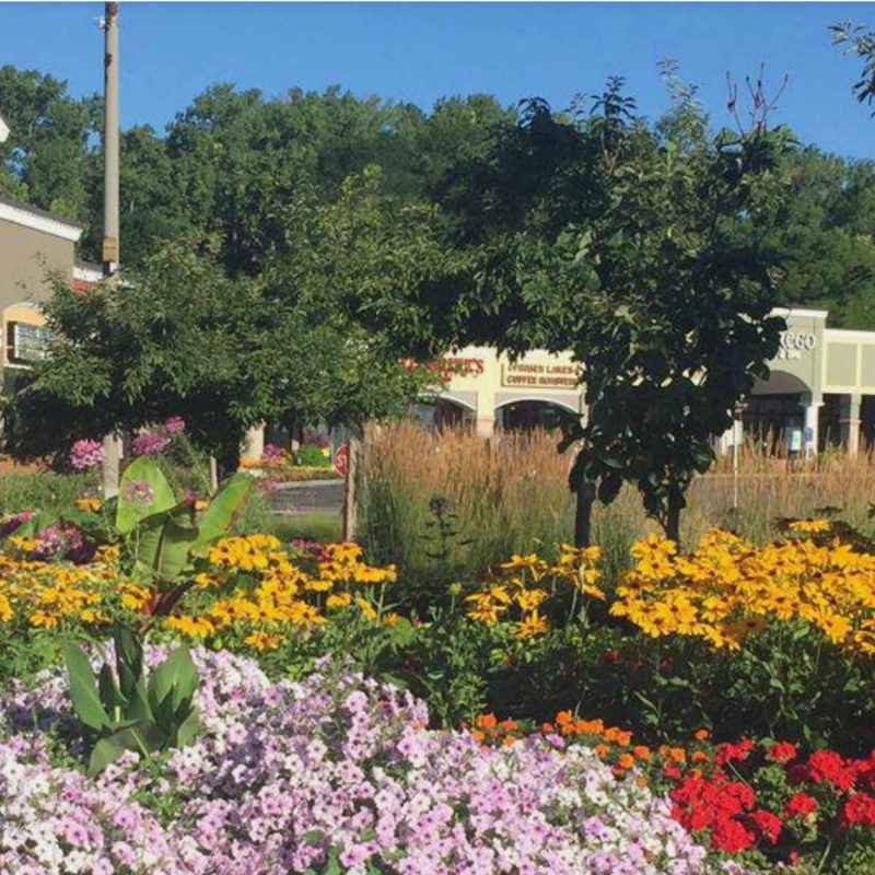 Pittsford Plaza, Pittsford, NY