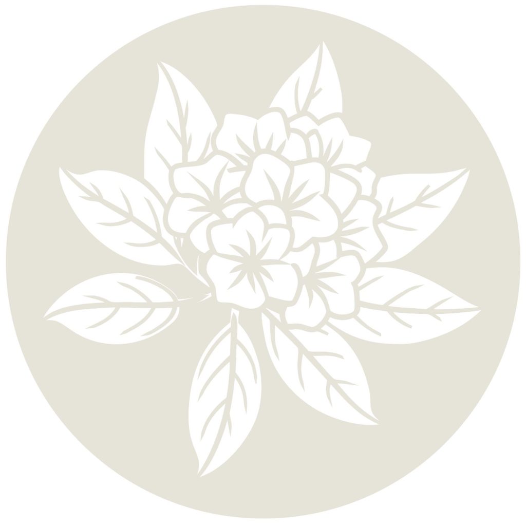 An illustration of a laurelwood flower