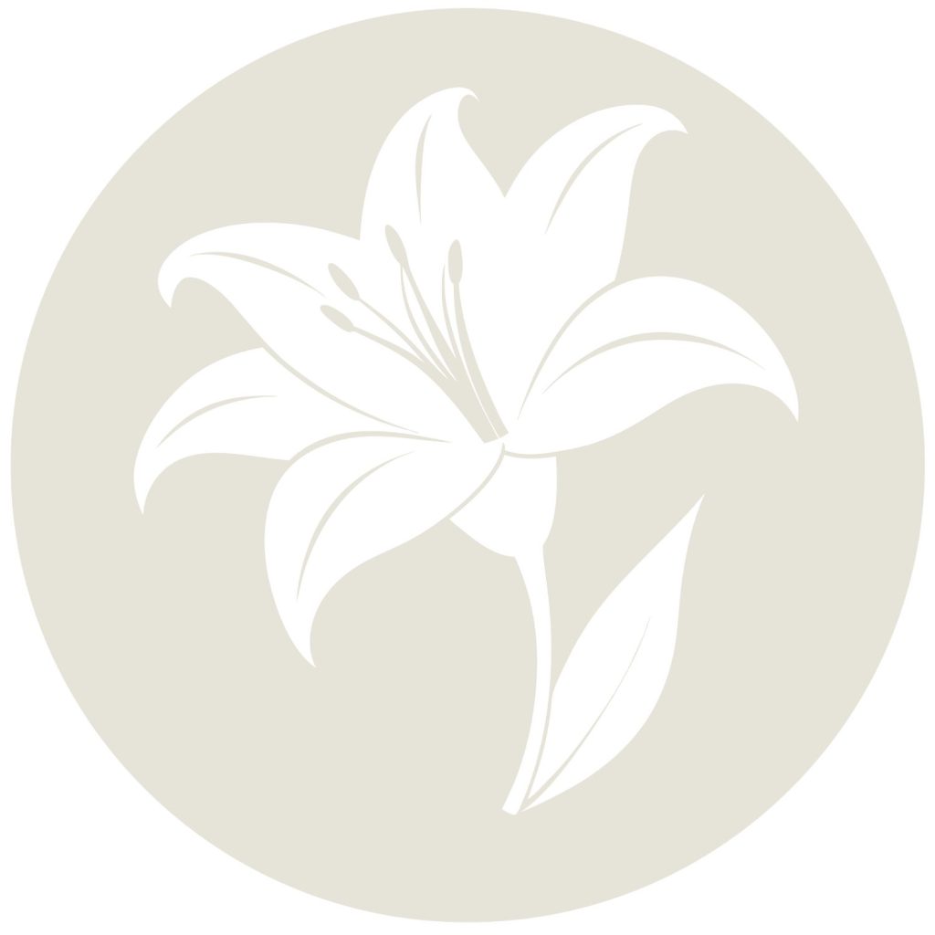 An illustration of a lilly flower