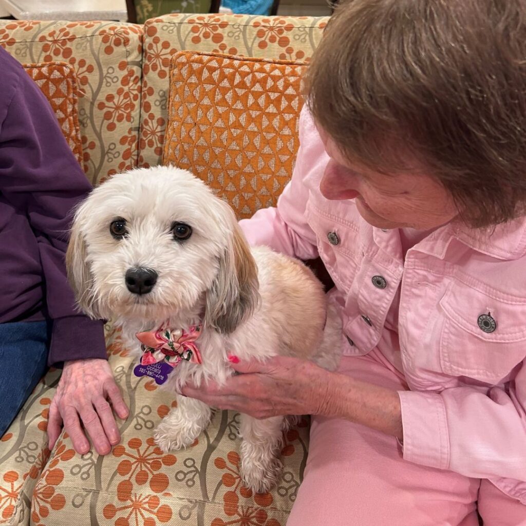 Laurel Way resident sitting with small white dog